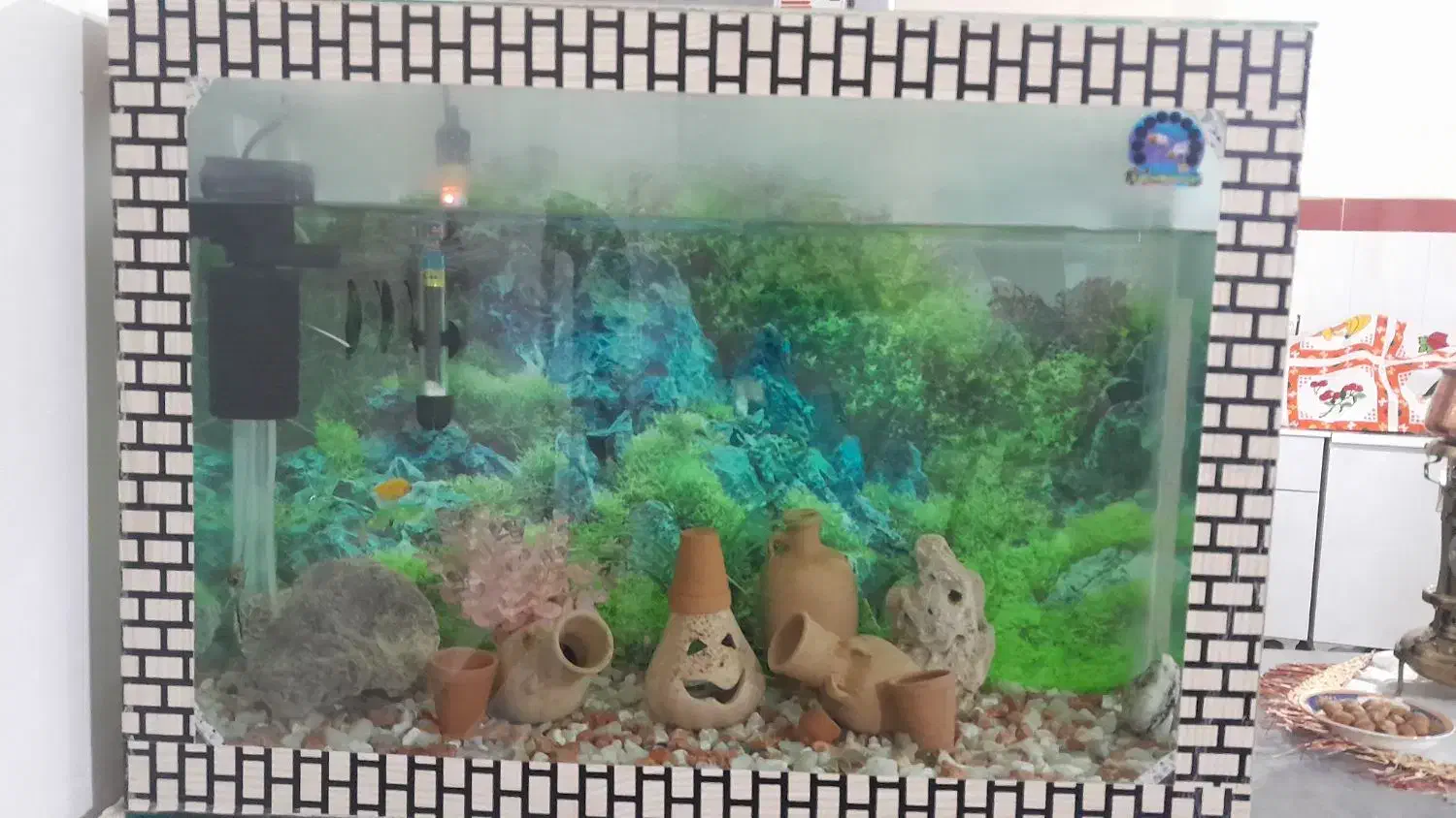 یک عدد آکواریوم ۶میل|ماهی|مراغه, |دیوار