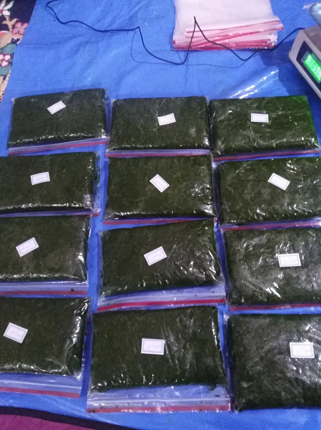 انواع سبزی|خوردنی و آشامیدنی|بندر امام خمینی, |دیوار