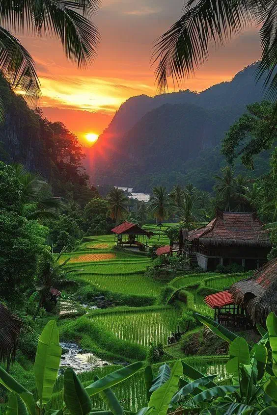 تور پوکت ویژه آذر ماه (نقد و اقساط)|خدمات حمل و نقل|مشهد, کوثر|دیوار