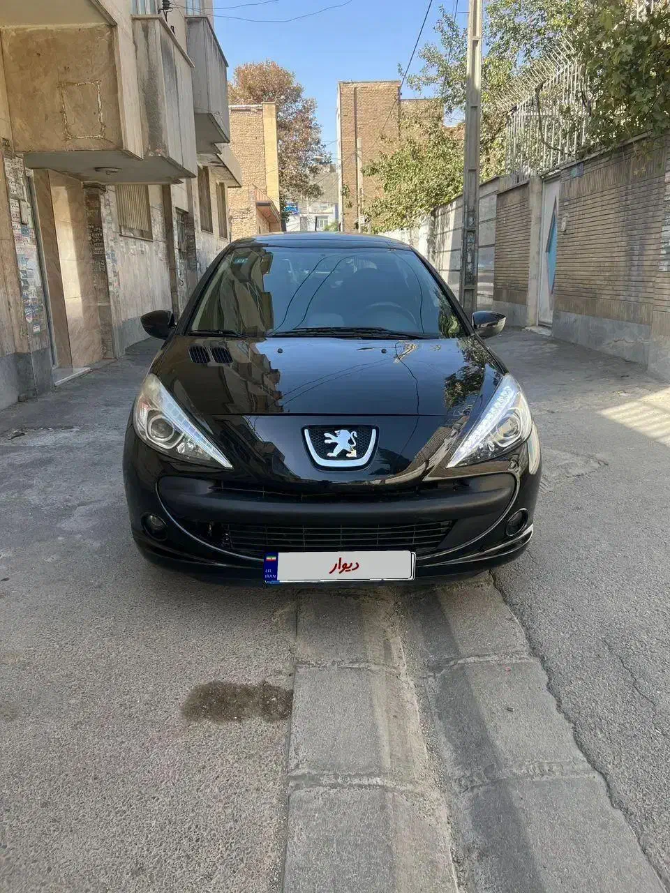 207|خودرو سواری و وانت|تهران, استاد معین|دیوار