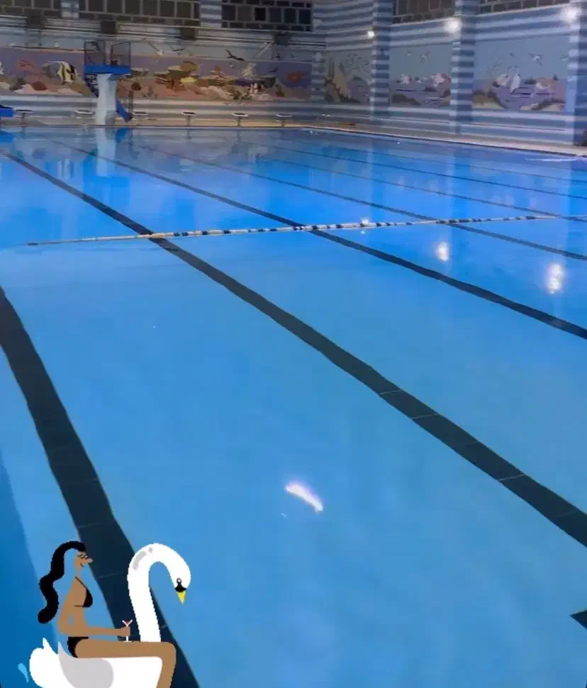 آموزش اصولی شنا از مبتدی تا پیشرفته|خدمات آموزشی|کرمانشاه, |دیوار