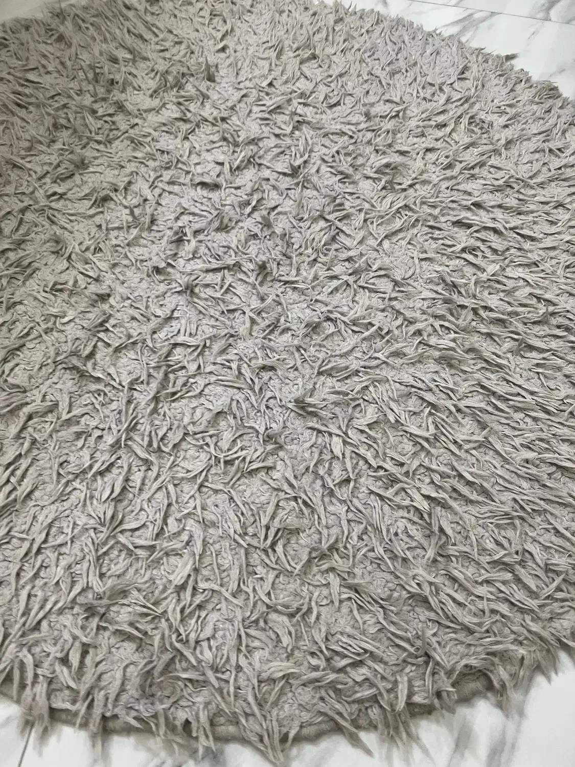 فرش شگی گرد|فرش|رشت, معلم|دیوار