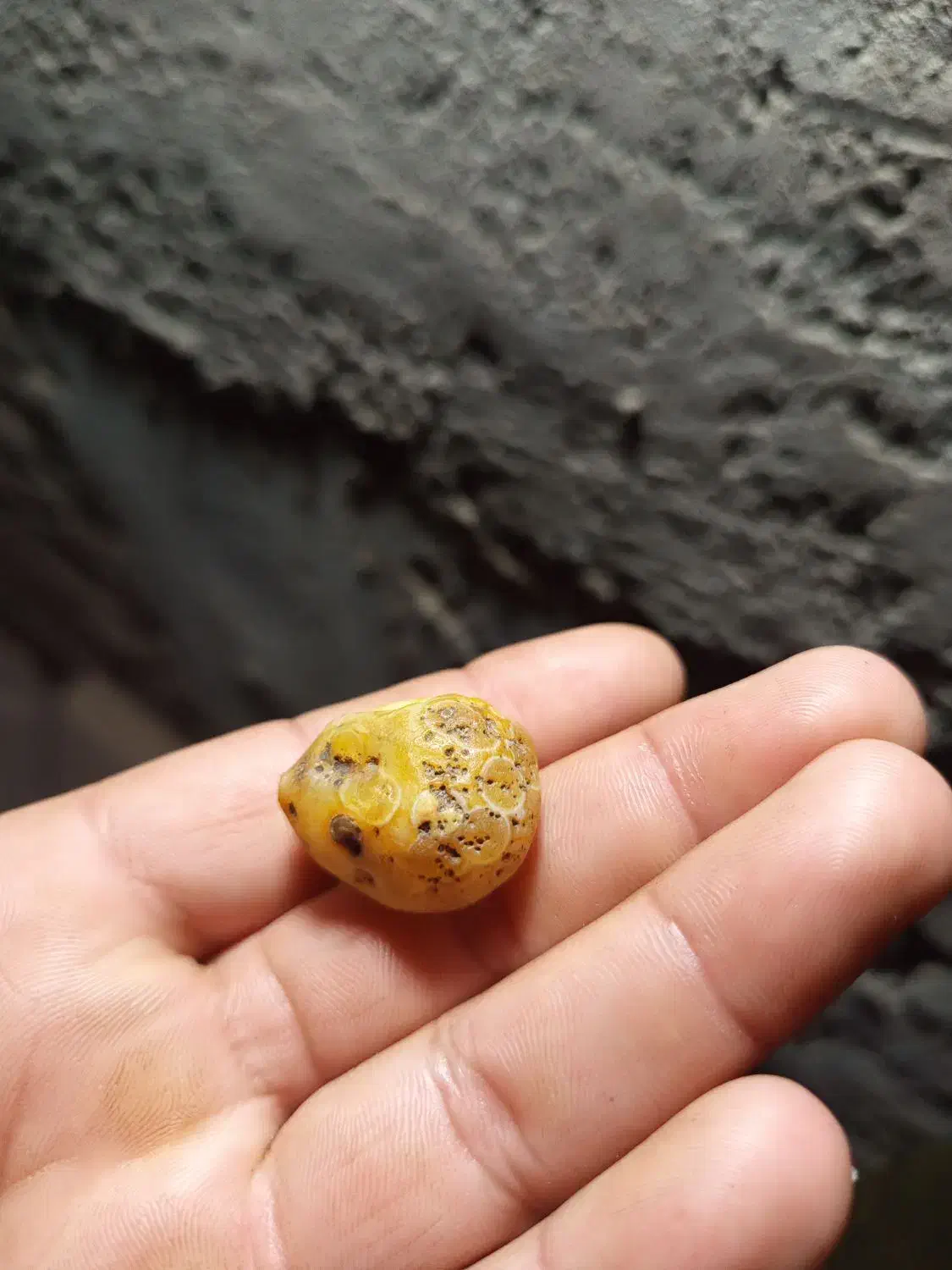 حمیدیه|جواهرات|حمیدیه, |دیوار