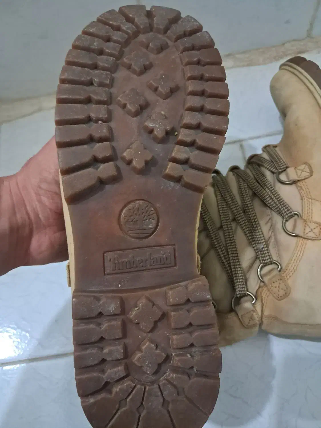 کفش کوه تیمبرلند|کیف، کفش، کمربند|تهران, جوادیه تهرانپارس|دیوار