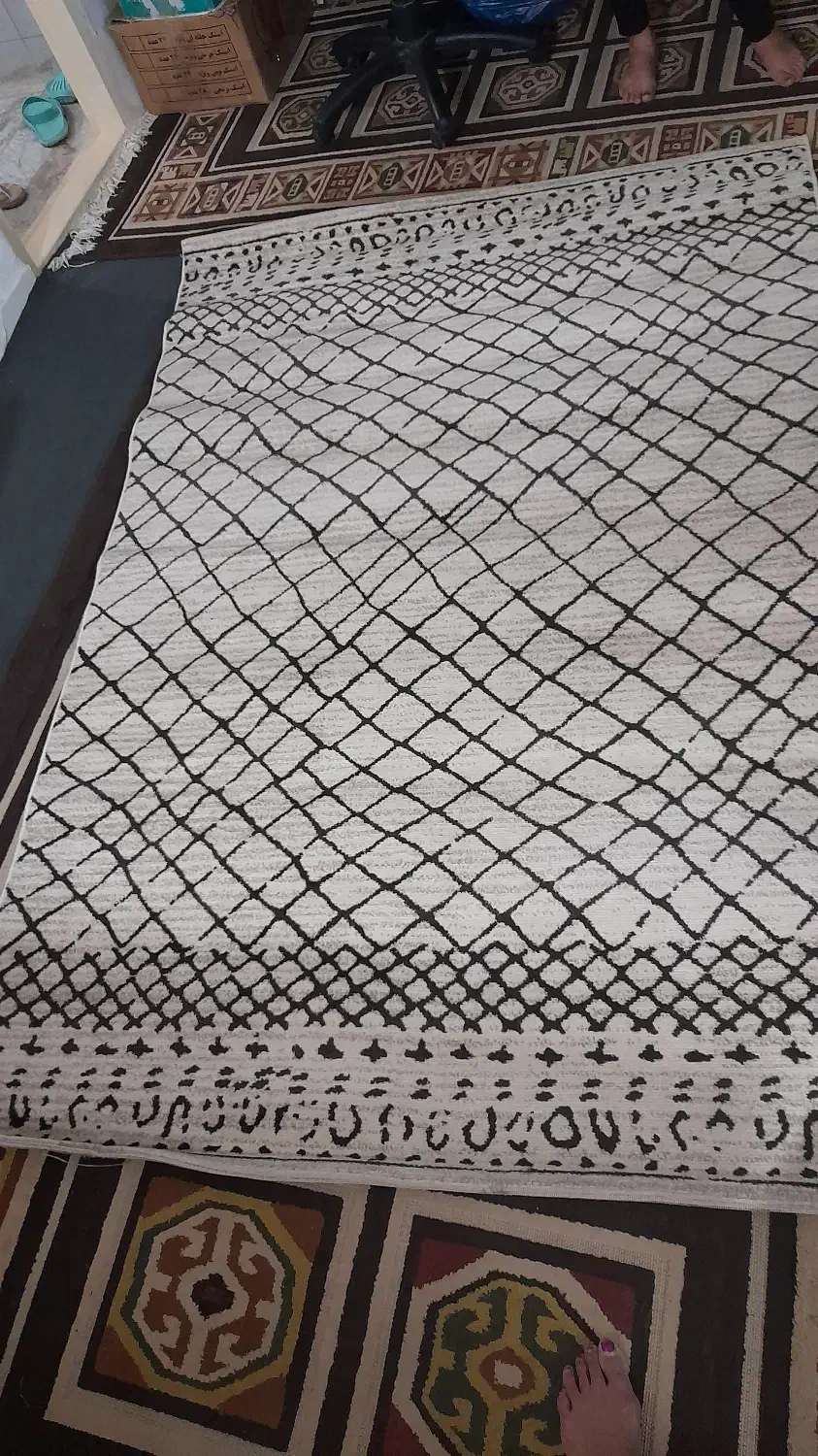 فرش گلیم پاتریس|فرش|تهران, امیر بهادر|دیوار