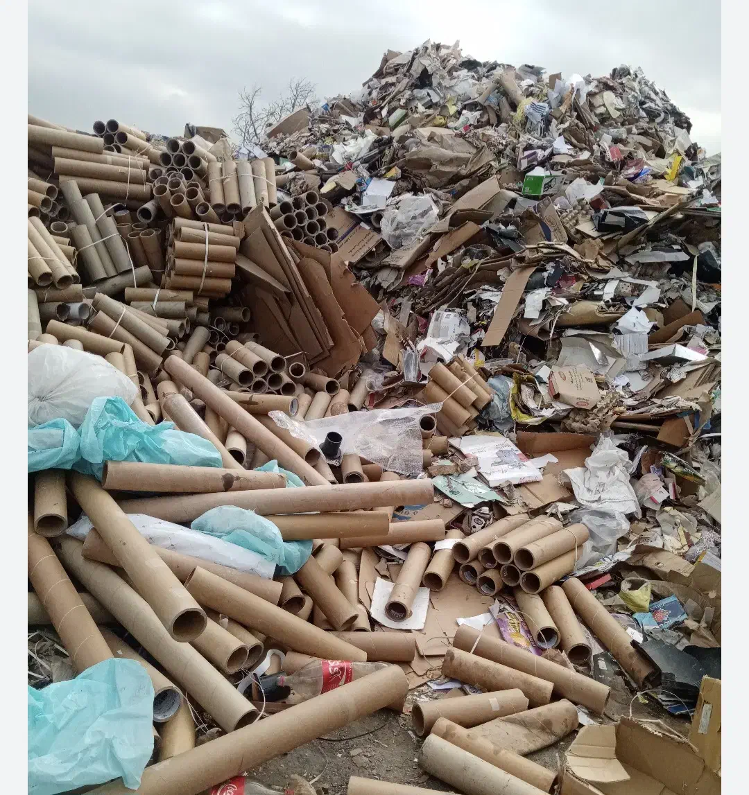 خرید کارتن و کاغذ انواع ضایعات|عمدهفروشی|مشهد, خواجه ربیع|دیوار