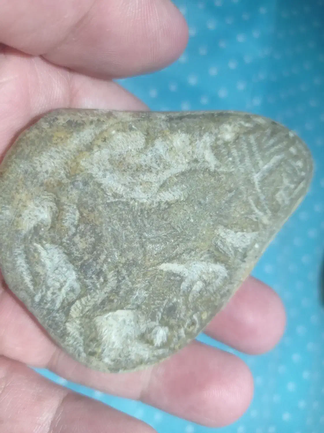 سنگ عتیغه|کلکسیون اشیاء عتیقه|کرمانشاه, |دیوار