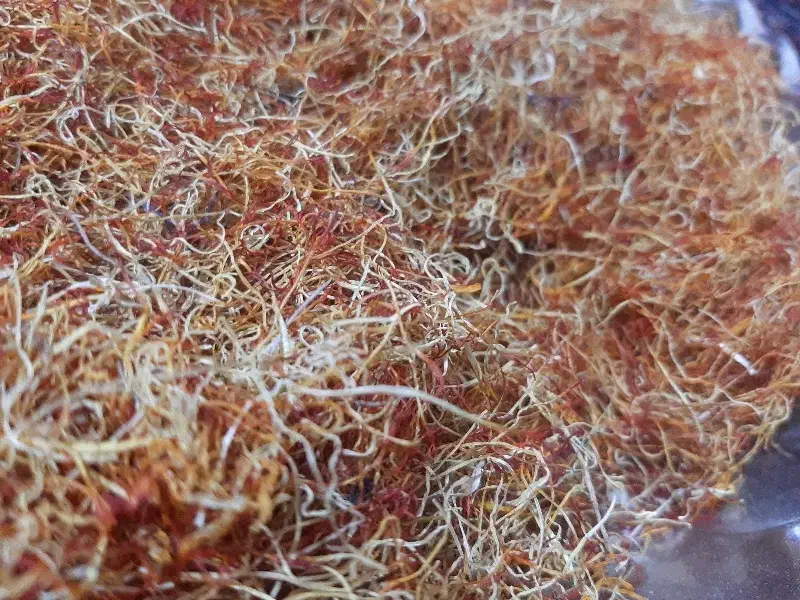 ریشه زعفران|خوردنی و آشامیدنی|چناران, |دیوار