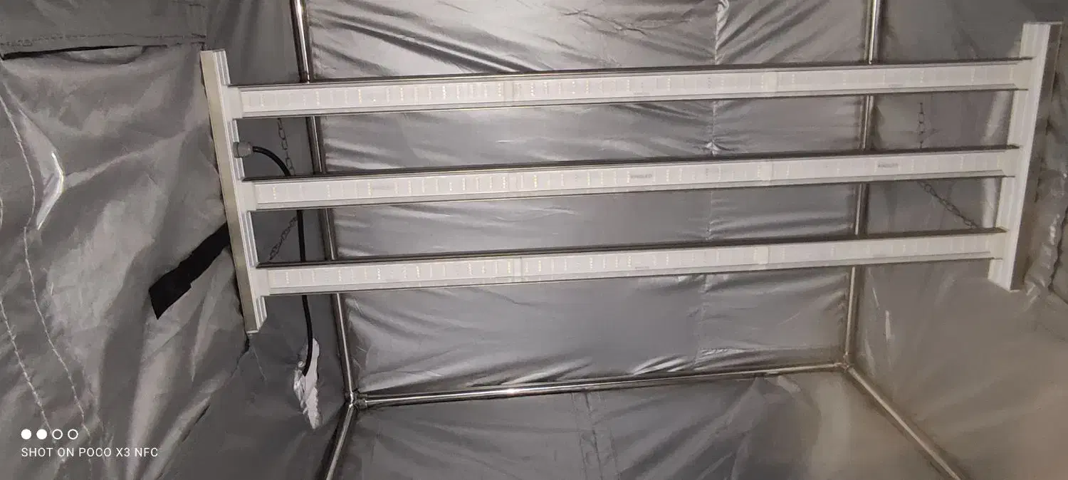 گروباکس یک دریک کشت گیاه|گل و گیاه طبیعی|شیراز, گویم|دیوار