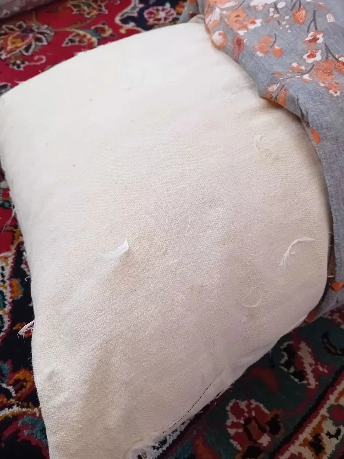 بالشت پر|رختخواب، بالش، پتو|قم, پردیسان|دیوار