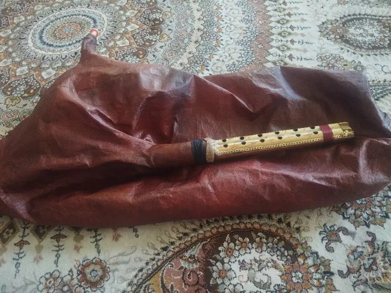 نی انبان|سازهای بادی|شیراز, پودنک|دیوار