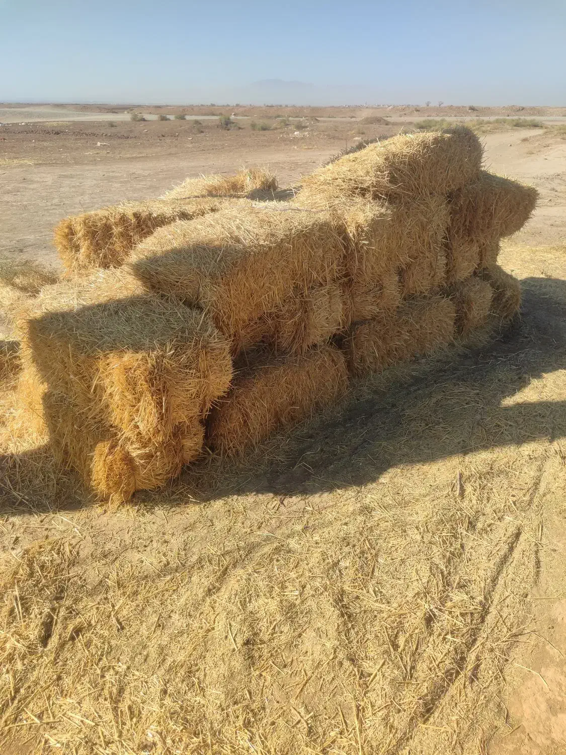 پخل گندم و علف زعفران|لوازم جانبی حیوانات|بوژگان, |دیوار