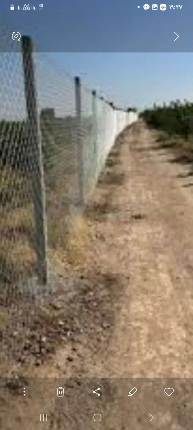 اجرای فنس  رنگ امیزی درحیاط و اتاق  دستمزدتوافقی|خدمات باغبانی و درختکاری|رشت, حومه رشت|دیوار