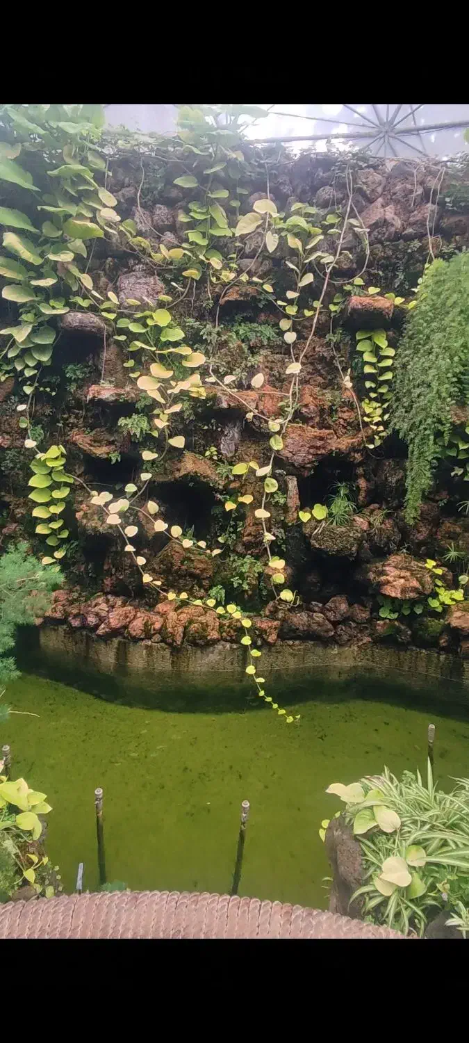 دکور اب نما اکواریوم مناسب مغازه خانه دفترکار|صنایع دستی و سایر لوازم تزئینی|شیراز, شهرک ولیعصر|دیوار