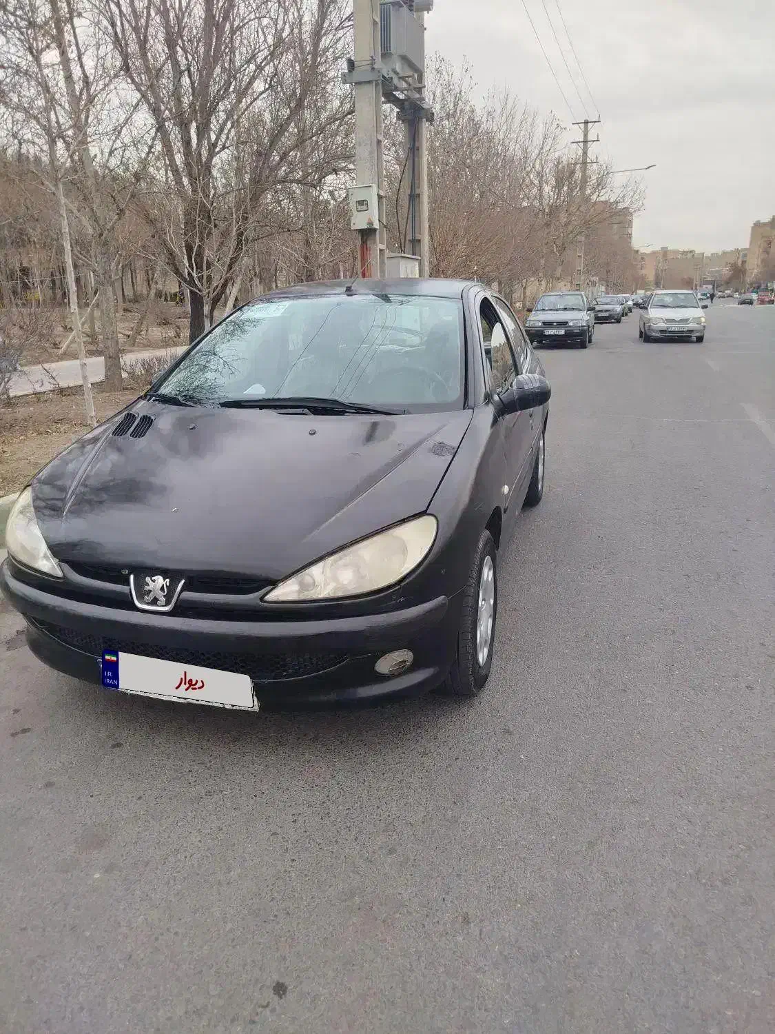 ۲۰۶ سلامت به شرط|خودرو سواری و وانت|کرج, حیدرآباد|دیوار