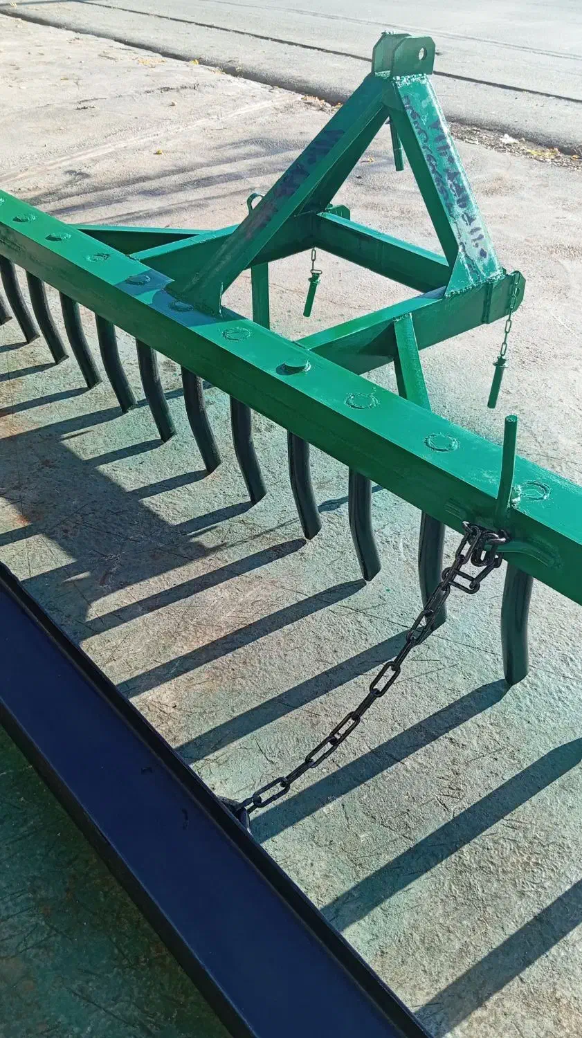 مانگرـ بانگور ـ درمغ|خدمات باغبانی و درختکاری|نالوس, |دیوار