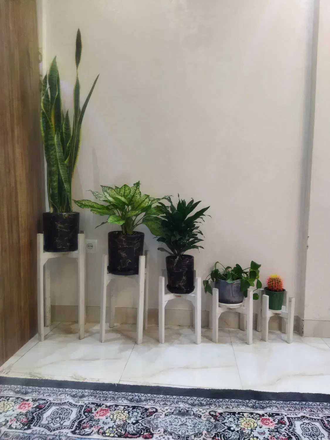 پایه گل|گل و گیاه طبیعی|تهران, خاک سفید|دیوار