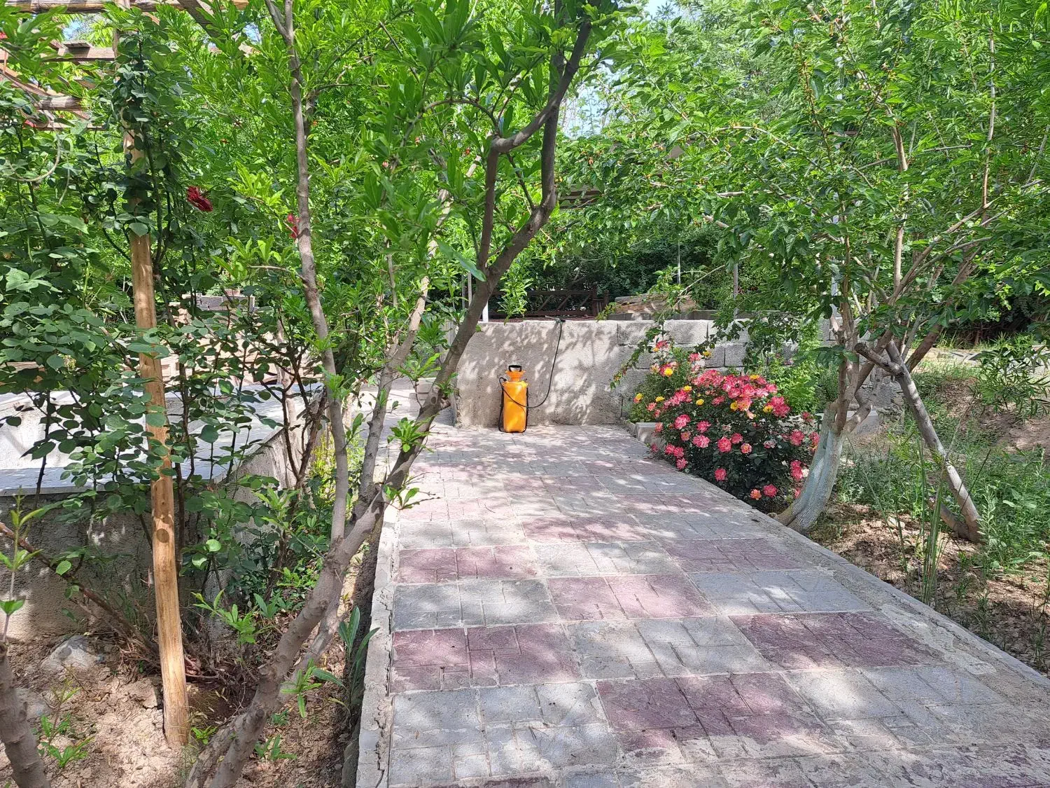 باغچه چهار دیواری کاشانک|فروش زمین و ملک کلنگی|اسلامشهر, کاشانک|دیوار