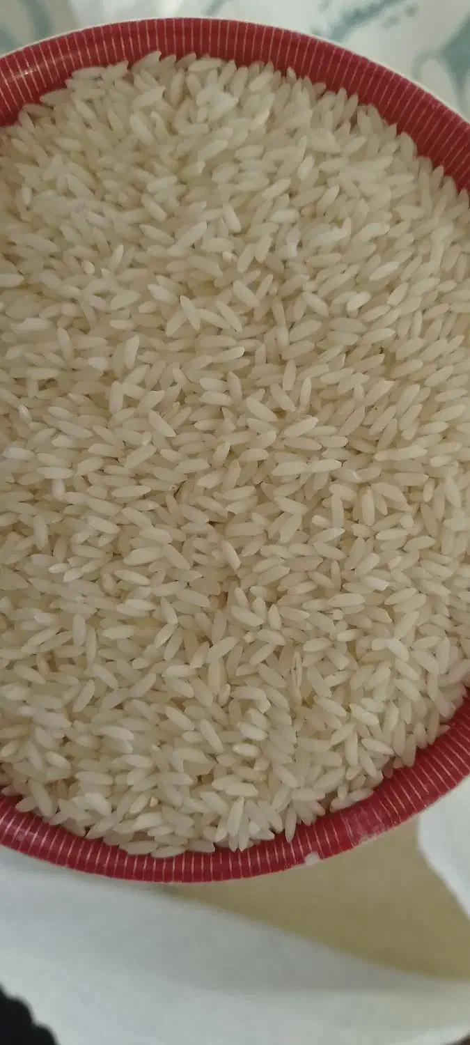 برنج چرداول|خوردنی و آشامیدنی|ایلام, |دیوار