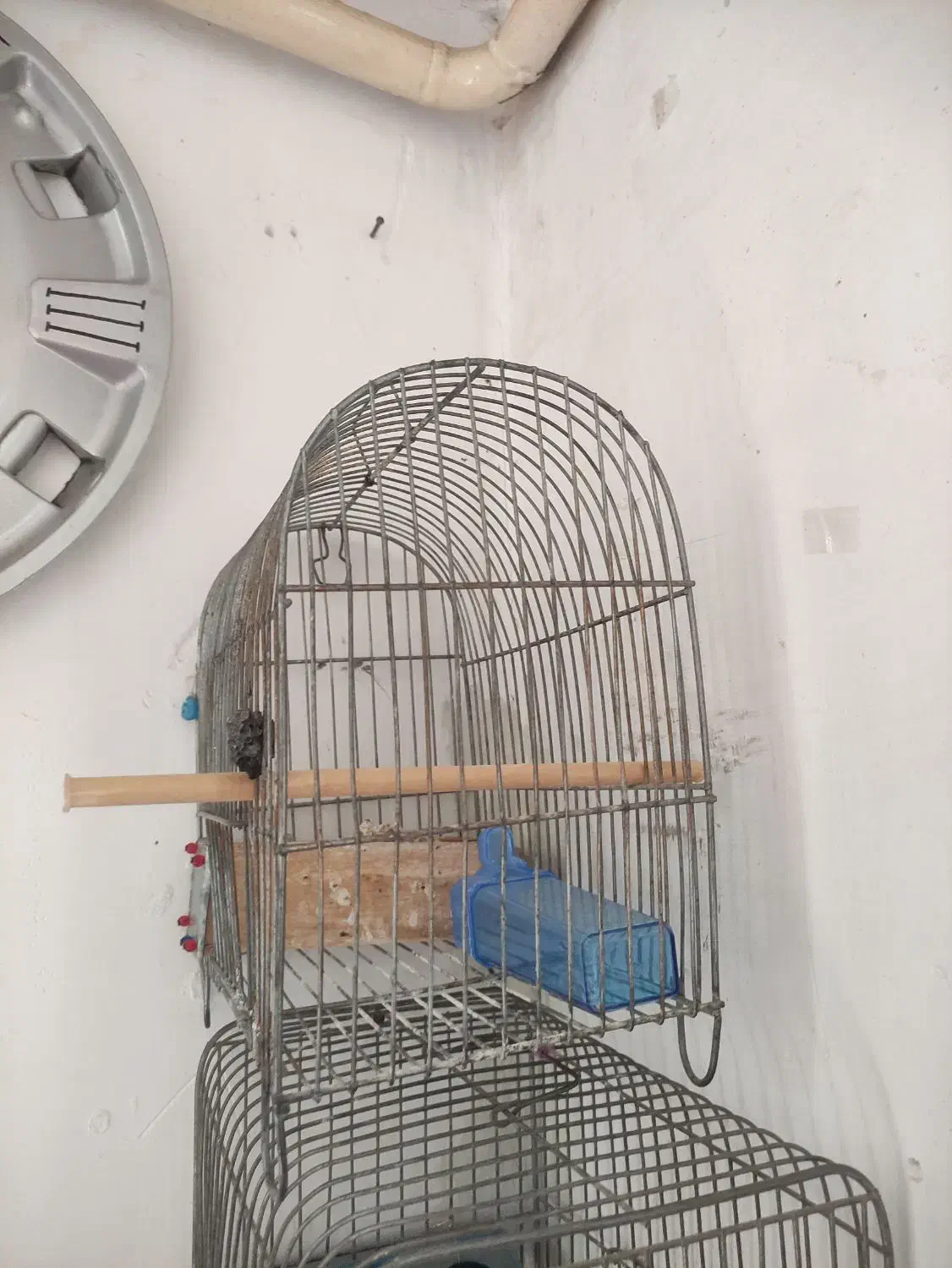 قفس سهره|لوازم جانبی حیوانات|بروجرد, |دیوار