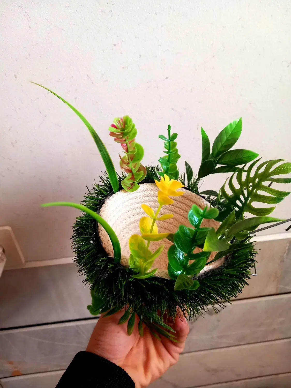 سهره قناری|پرنده|خمینی‌شهر, |دیوار