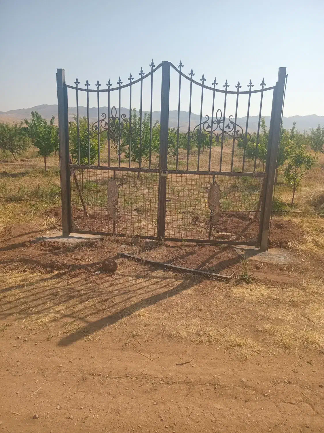 فنس کشی|خدمات باغبانی و درختکاری|زنجان, |دیوار