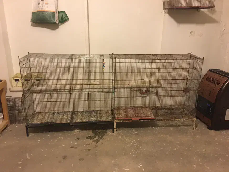 فروش گنجه قفس پران|لوازم جانبی حیوانات|آمل, |دیوار