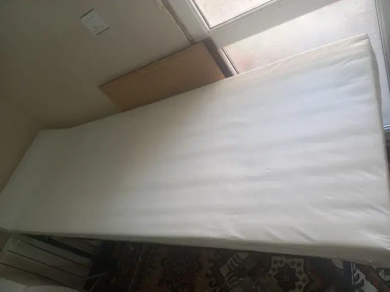 تخت سالم|آرایشگاه و سالن‌های زیبایی|گلبهار, شهر جدید گلبهار|دیوار