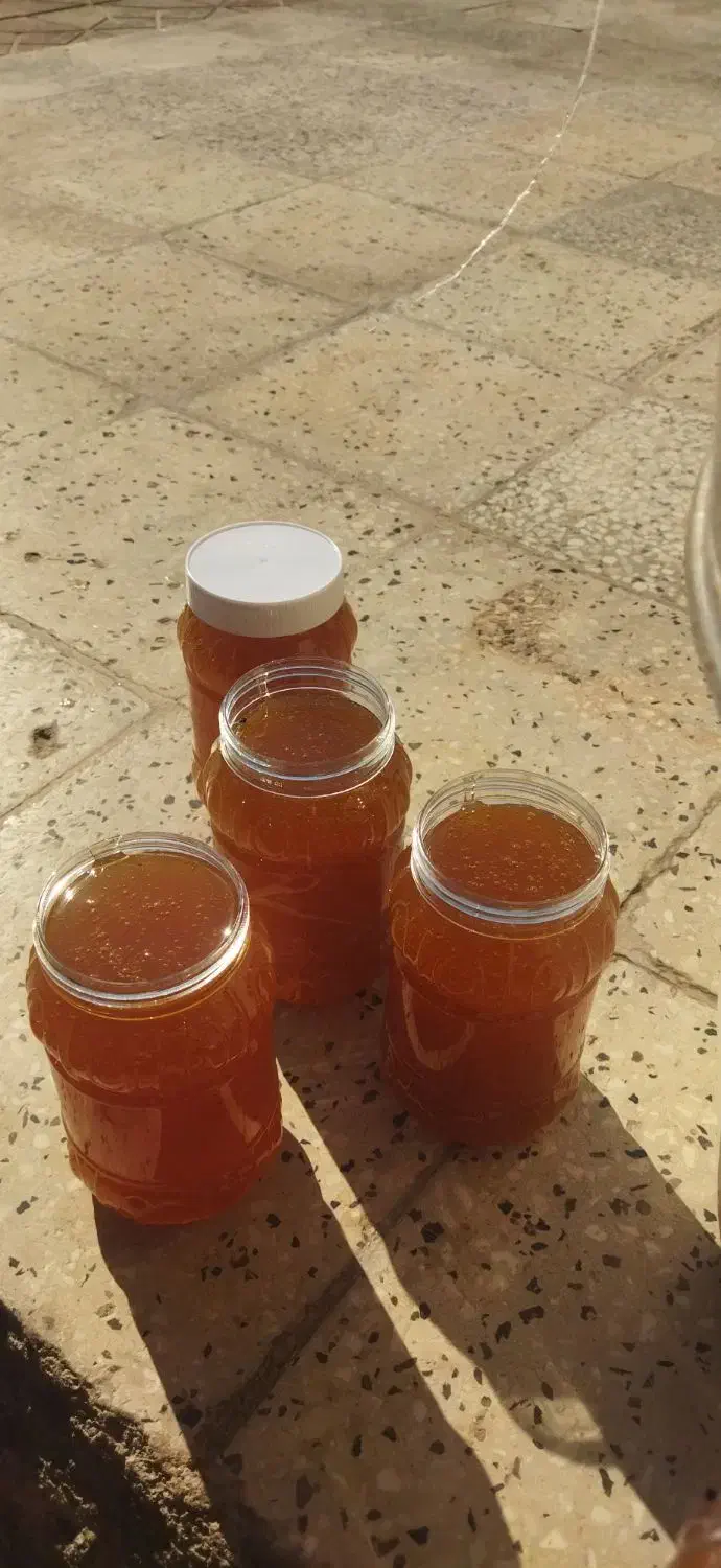 عسل کنار|عمده‌فروشی|فیروزآباد (فارس), |دیوار