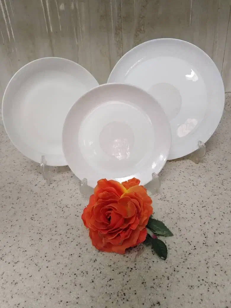 سرویس آرکوپال|ظروف سرو و پذیرایی|تهران, دریاچه شهدای خلیج فارس|دیوار