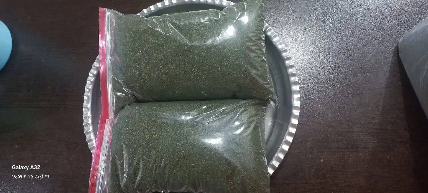 شوید خشک معطر رامهرمز درجه یک|خوردنی و آشامیدنی|اهواز, سپیدار|دیوار