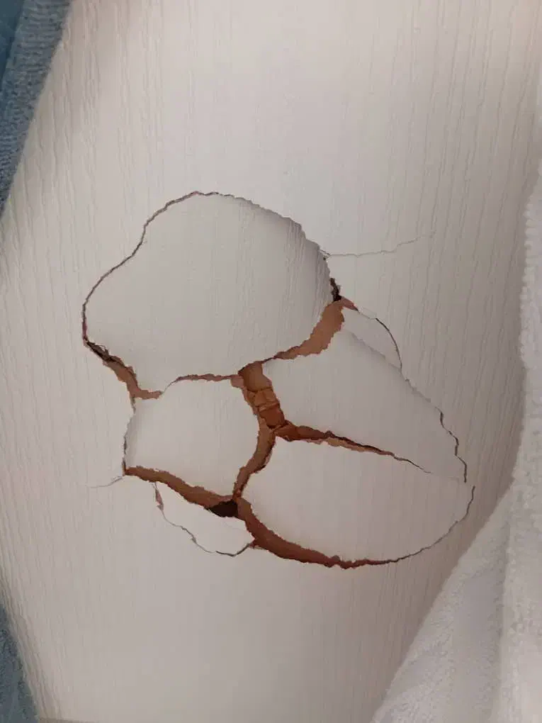 تعمیرات لازم چوبی درمنزل|خدمات پیشه و مهارت|پردیس, فاز ۳|دیوار