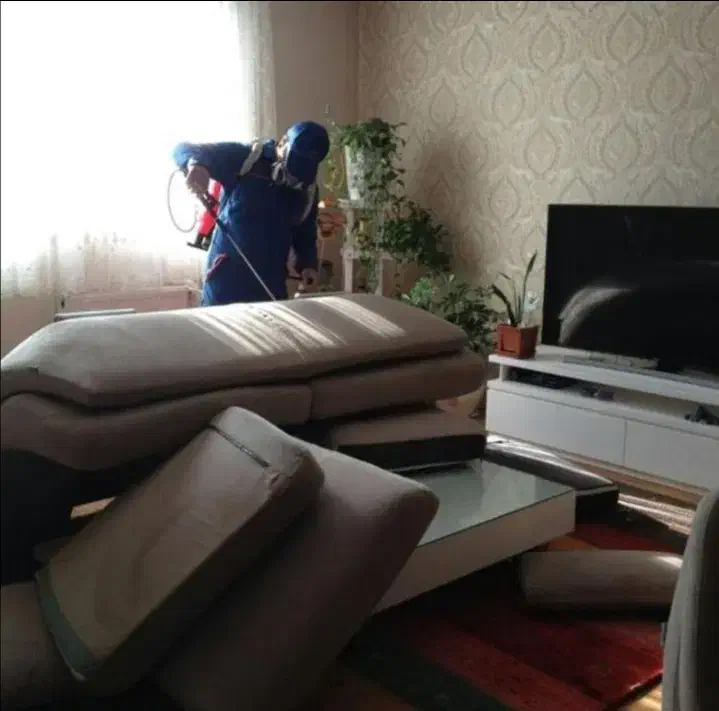 کلیه نظافت ساختمان،نقاشی،سمپاشی،بردن بیمار|خدمات نظافت|بندر انزلی, سپه|دیوار