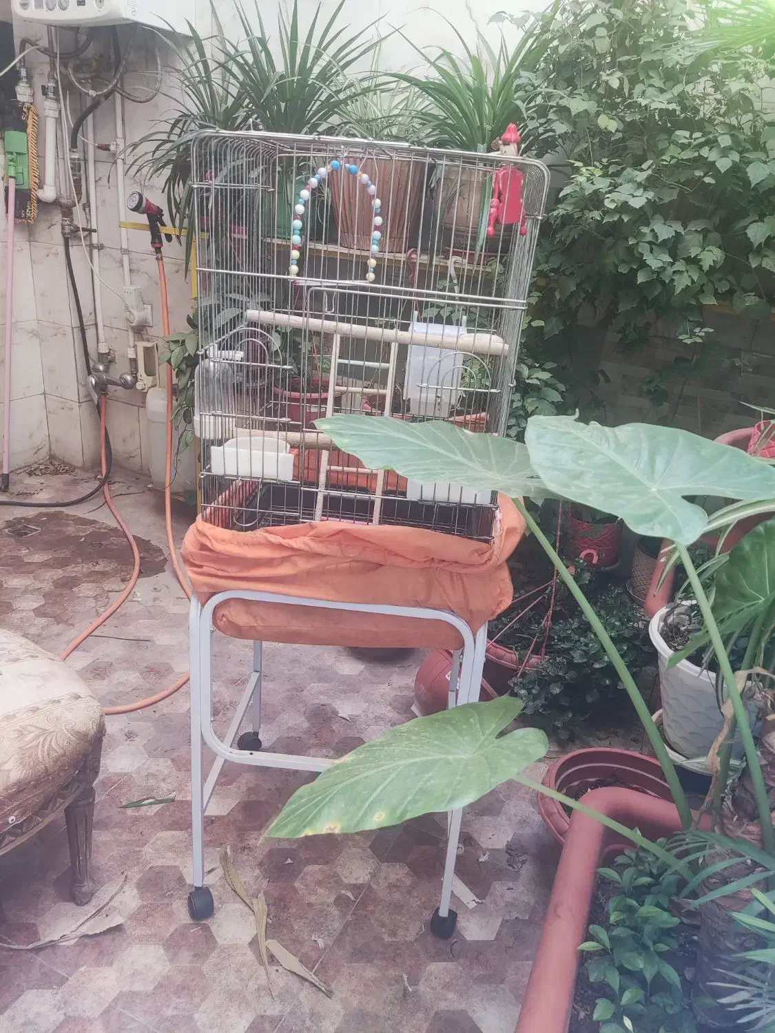قفس پرنده با وسایل و پایه قفس|لوازم جانبی حیوانات|تهران, مقدم|دیوار