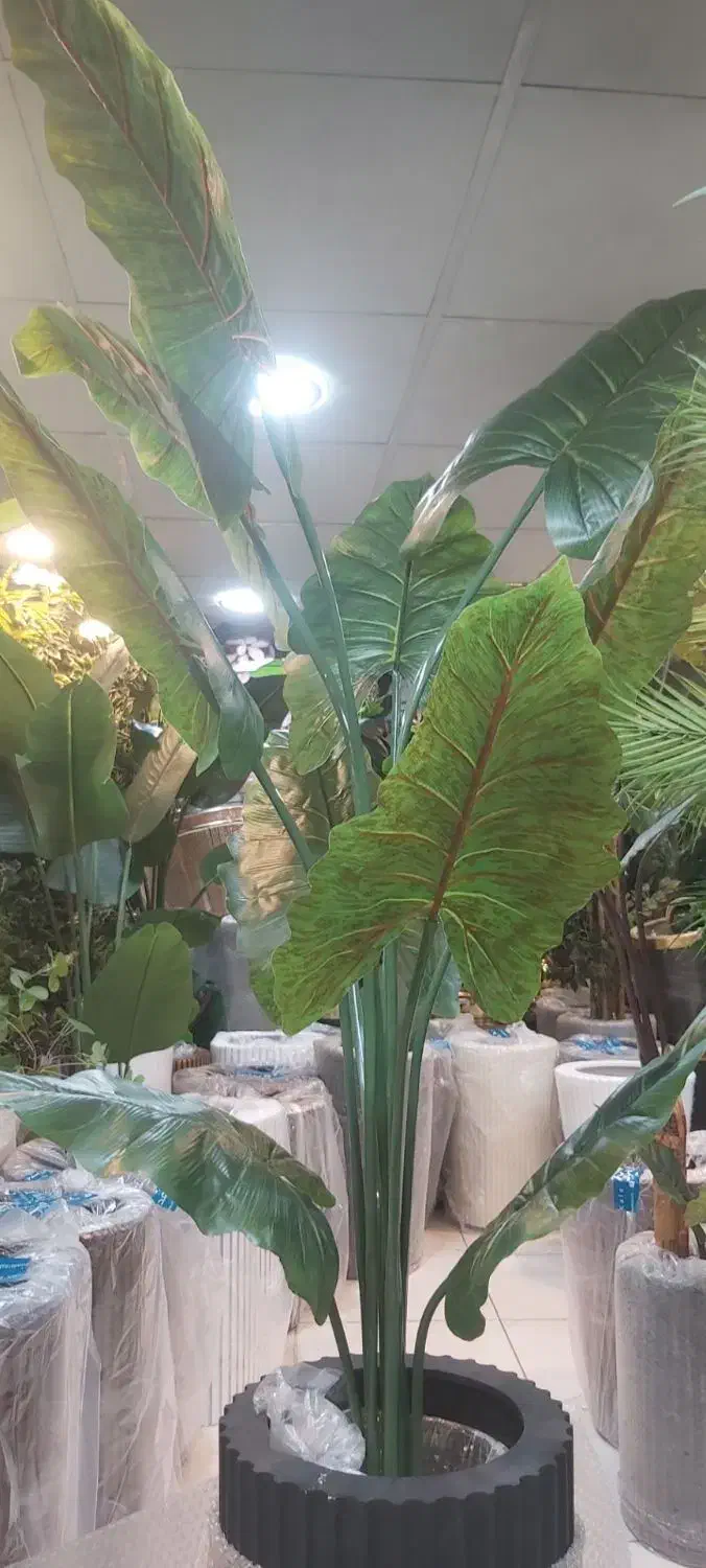 درختچه تزیینی|گل مصنوعی|نظرآباد, رسالت|دیوار