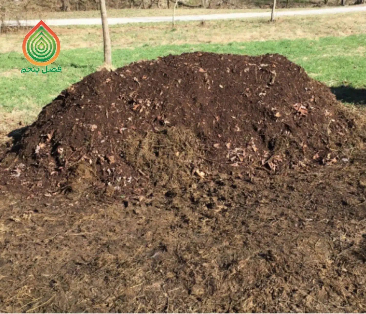 پخش کود حیوانی|خدمات باغبانی و درختکاری|تاکستان, |دیوار