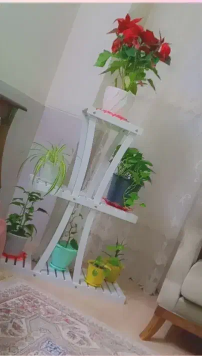 استند گلدان نو نو کاملا سالم|گل و گیاه طبیعی|دهگلان, |دیوار