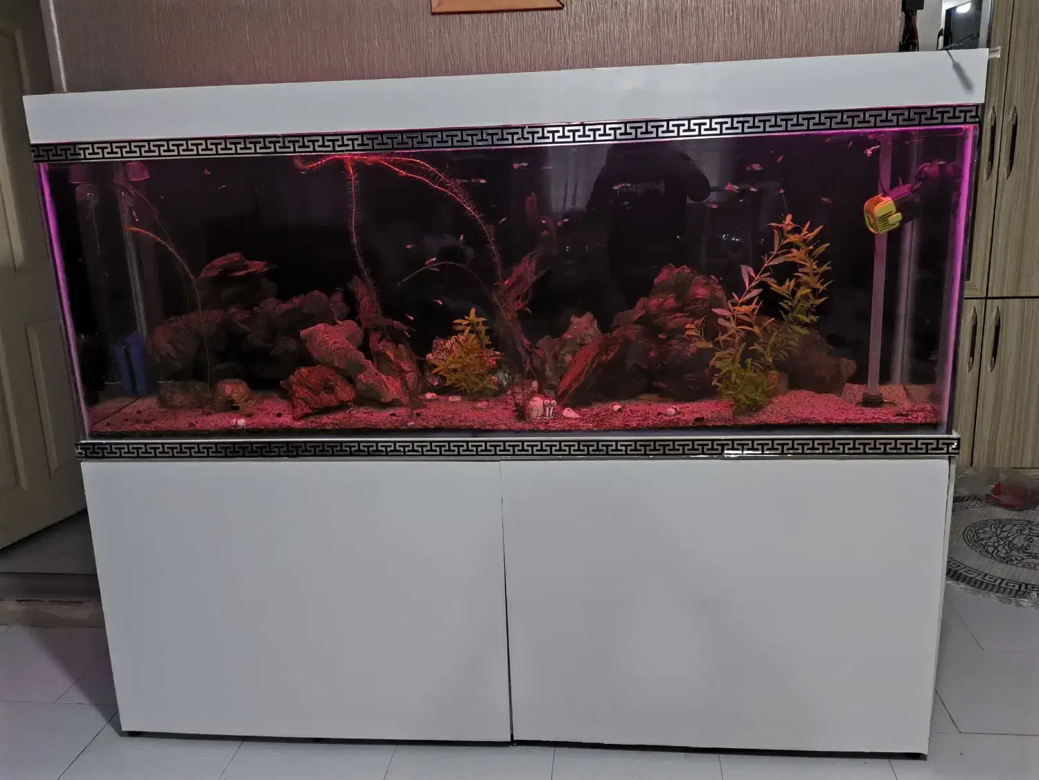 فروش آکواریوم ۲ متری با لوازم و ماهی زینتی|ماهی|رباط‌کریم, مسکن مهر آبشناسان|دیوار
