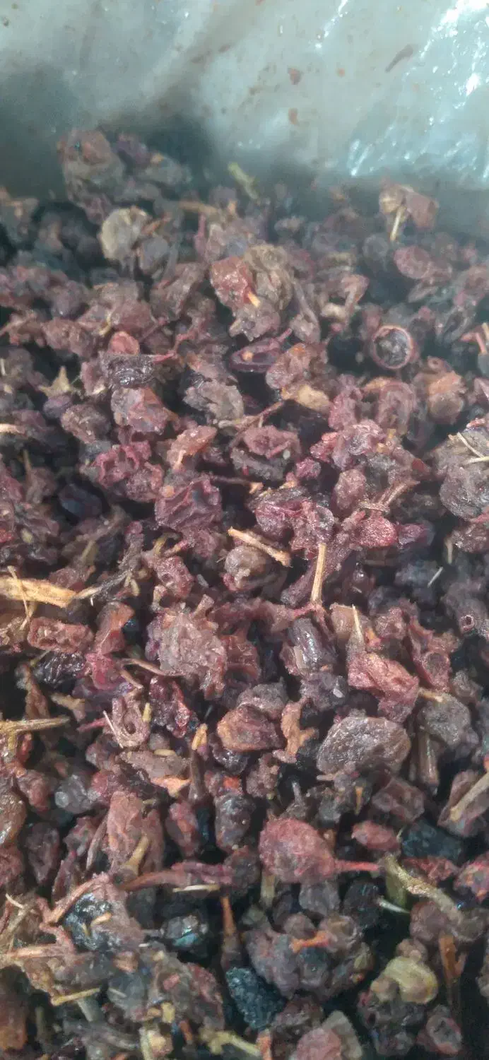 کشمش افتابی|خوردنی و آشامیدنی|نجفآباد, کشاورز|دیوار