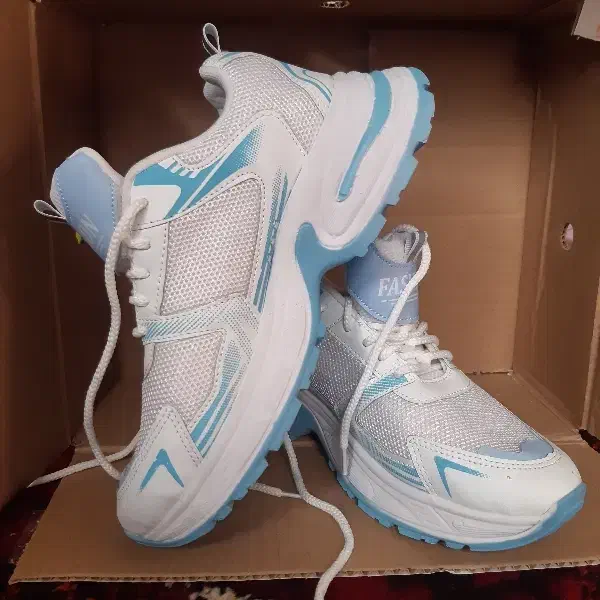 کتونی|کیف، کفش، کمربند|شیروان (خراسان), |دیوار