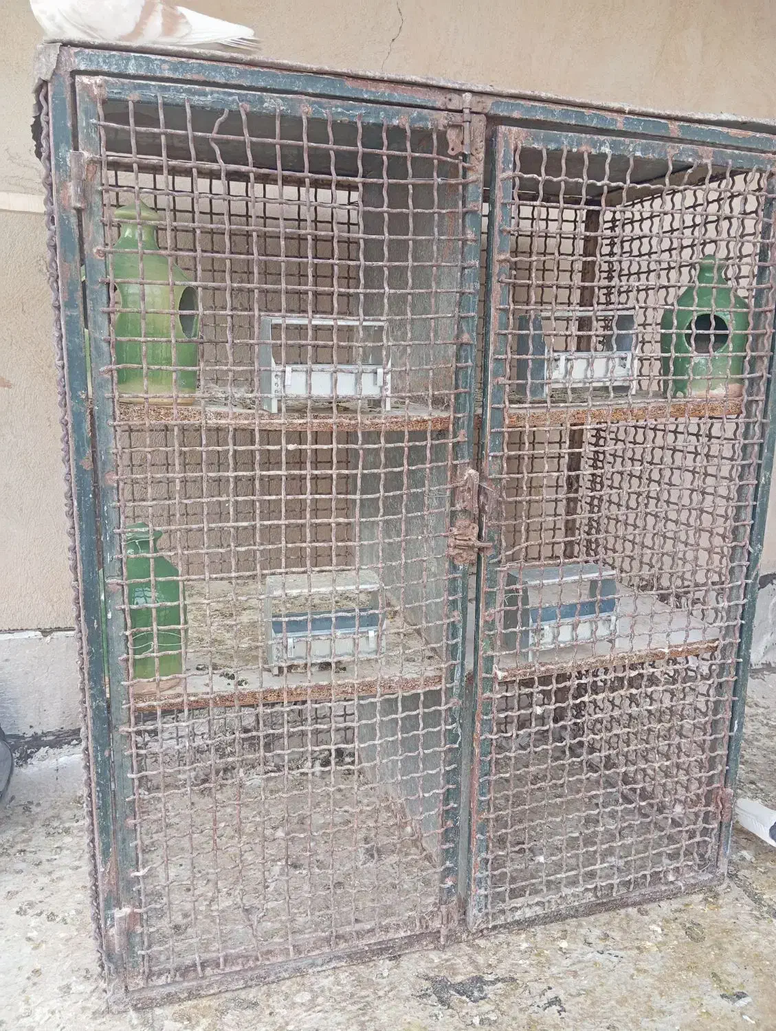 قفس جفتگان|لوازم جانبی حیوانات|سمنان, |دیوار