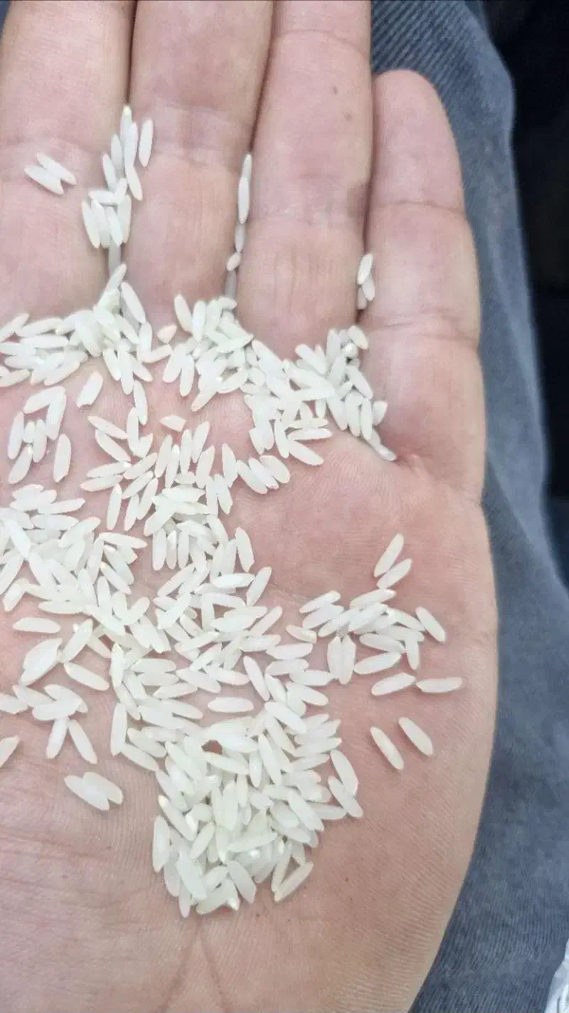 فروش برنج اعلا کشت دوم بینام|عمده‌فروشی|جویبار, |دیوار