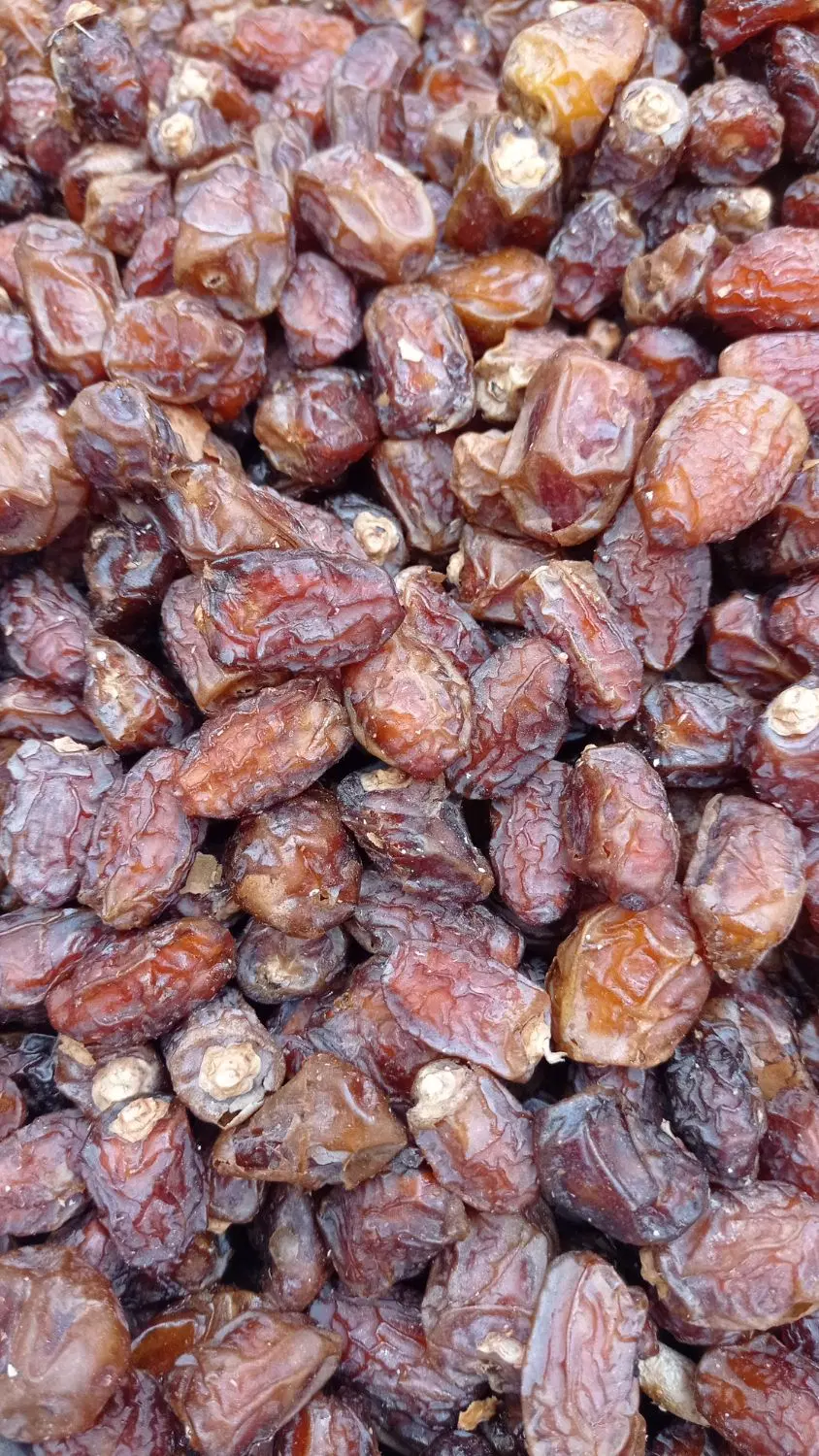 خرما|خوردنی و آشامیدنی|اهواز, نادری|دیوار