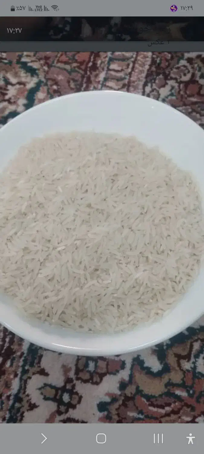 برنج فجر درجه یک وعالی از دهنه زرین گل خوش عطر|عمدهفروشی|مزرعه کتول, |دیوار