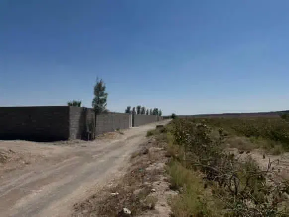 بلوار فردوسی دو باب زمین تجاری دو نبش|فروش مغازه و غرفه|شهر بابک, |دیوار