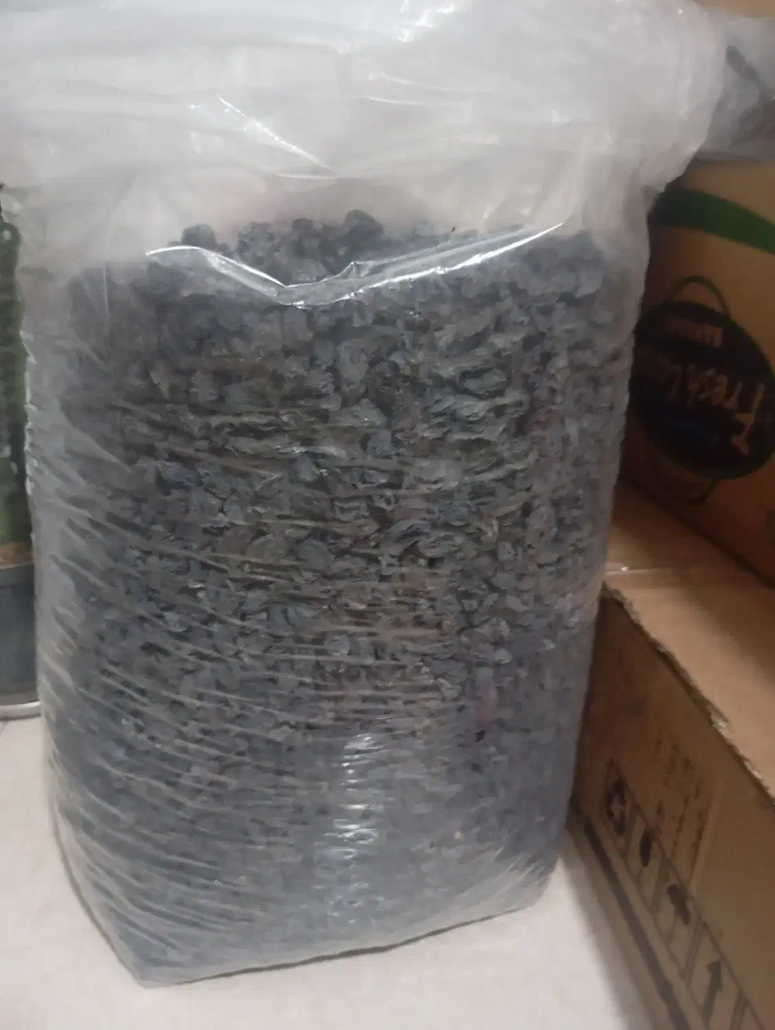 فروش عمده مویز سیاه کردستان دیم.ریز و درشت ۱۴۰۴|خوردنی و آشامیدنی|رودهن, |دیوار