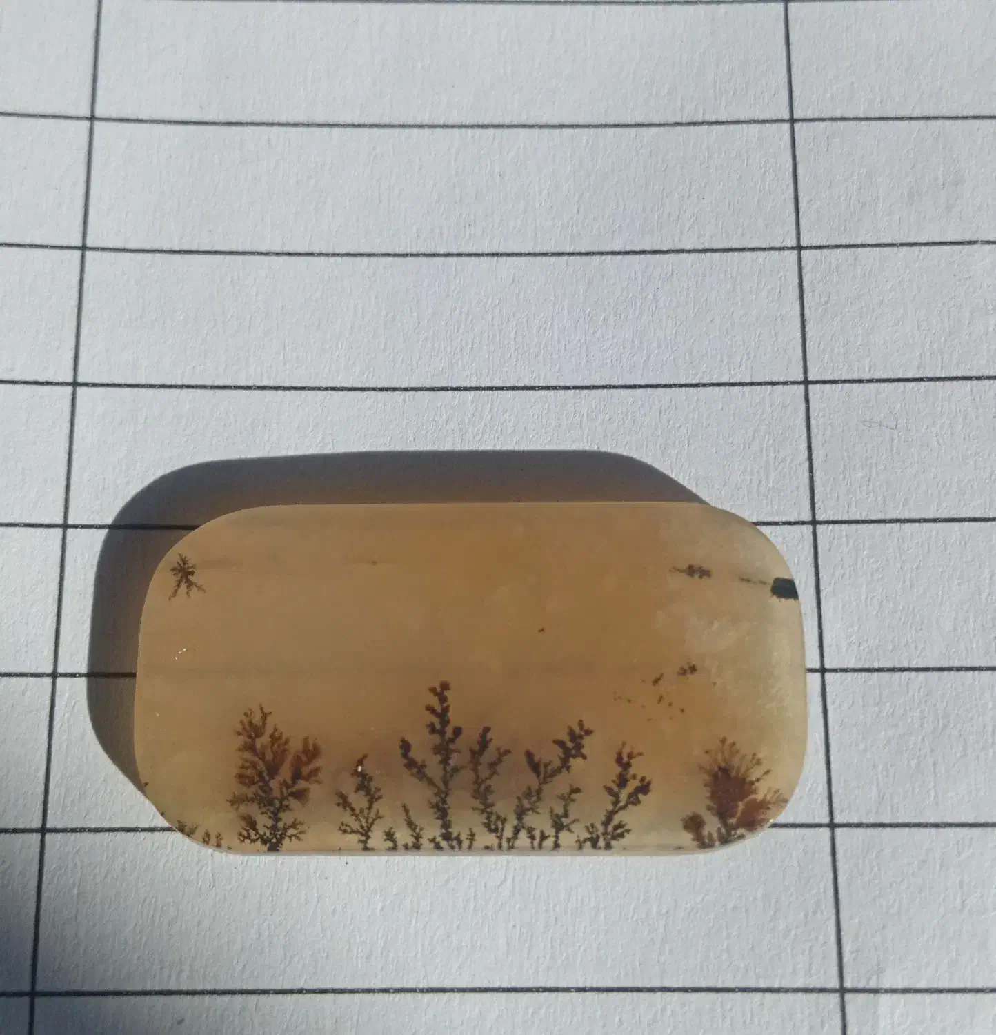 شجر قائن|جواهرات|خمینی‌شهر, |دیوار