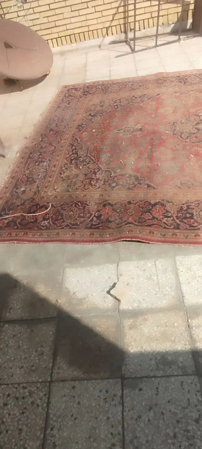 فرش قدیمی|فرش|یزد, |دیوار