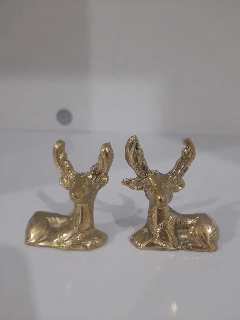 گربه و بچه گوزن برنز|مجسمه، تندیس، ماکت|کرمانشاه, |دیوار