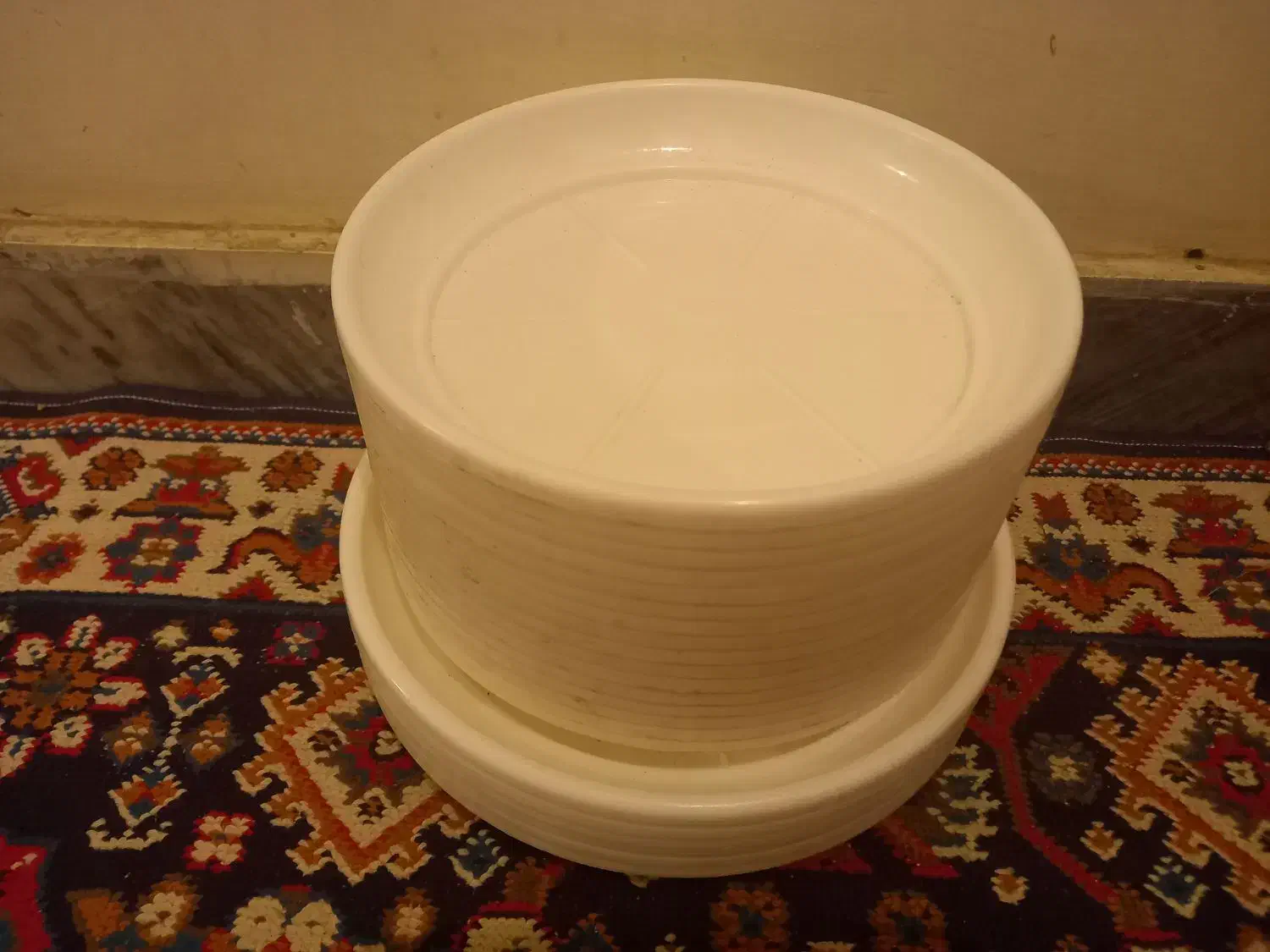 پرلیت کیلویی|گل و گیاه طبیعی|بروجرد, |دیوار